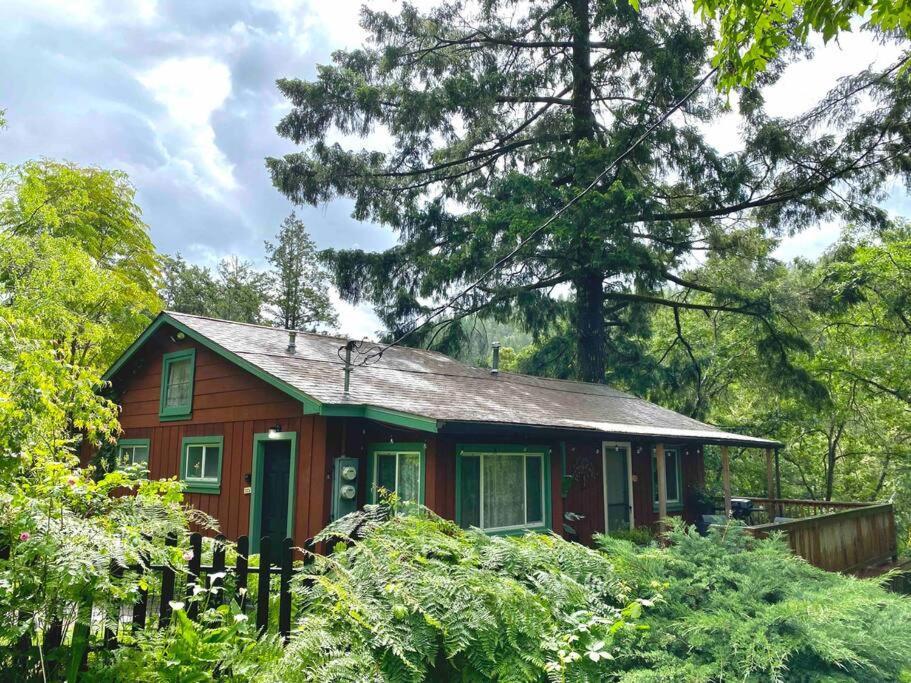 Miranda Avenue Of The Giants Caraway Cottage מראה חיצוני תמונה