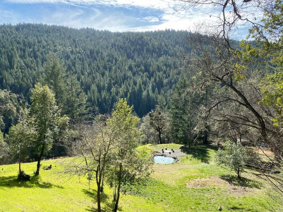 Miranda Avenue Of The Giants Caraway Cottage מראה חיצוני תמונה