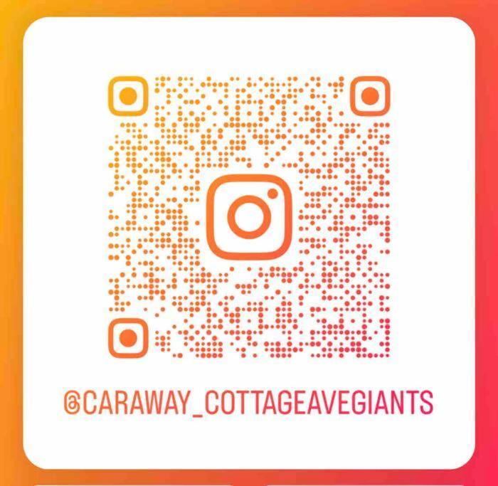Miranda Avenue Of The Giants Caraway Cottage מראה חיצוני תמונה