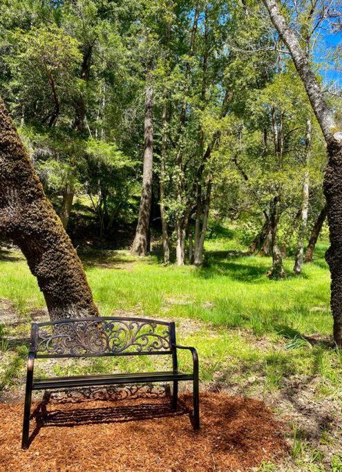 Miranda Avenue Of The Giants Caraway Cottage מראה חיצוני תמונה