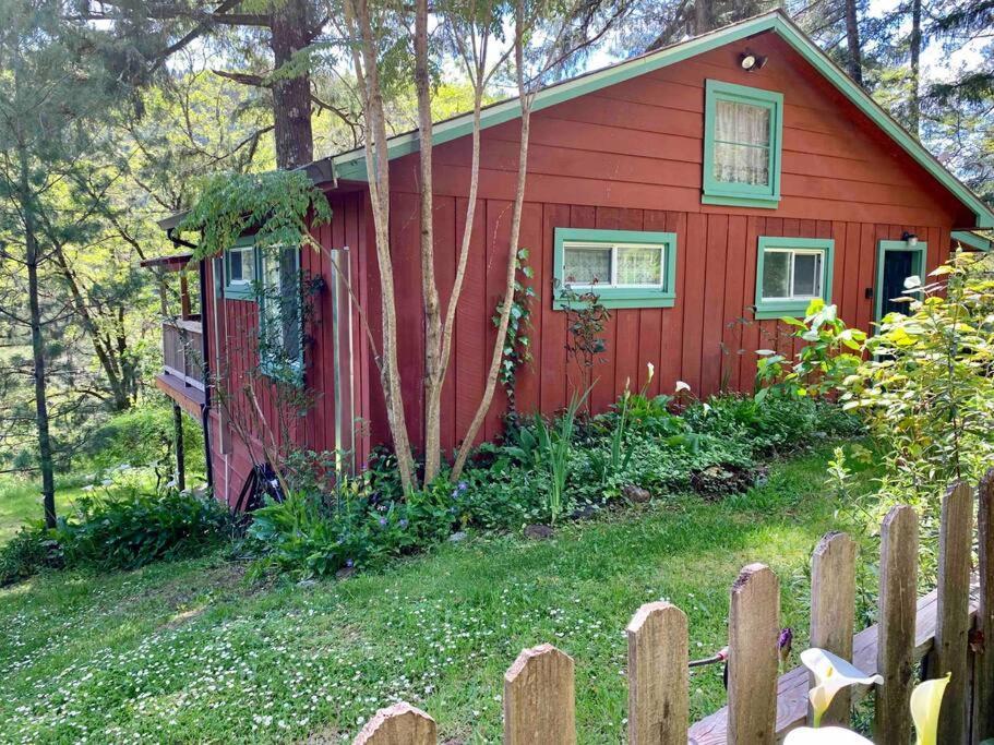 Miranda Avenue Of The Giants Caraway Cottage מראה חיצוני תמונה